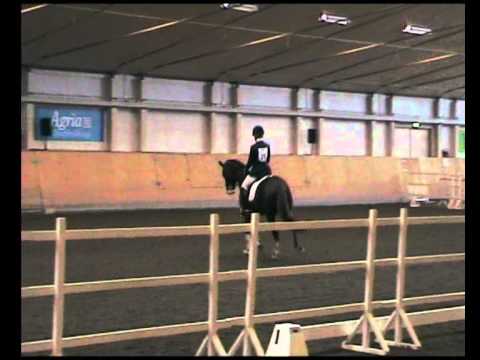 Luxus CML - Bruksprov 2011