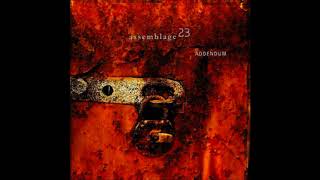 Assemblage 23 - Disappoint (Negative Format Remix)