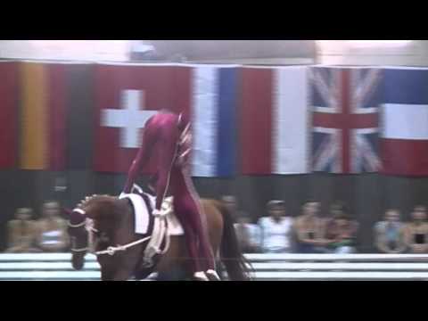 CVI Bern 2015 - 14.-17. May 2015