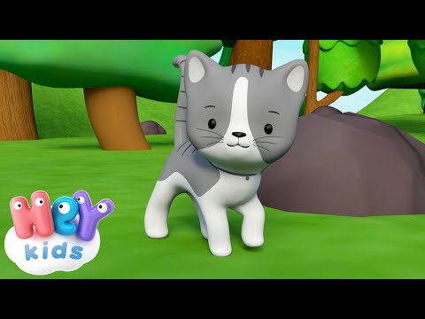HeyKids svenska: Har du sett min lilla katt + 33 minuter