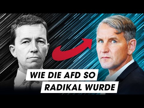 10 Jahre AfD: DAS hat sie krass verändert