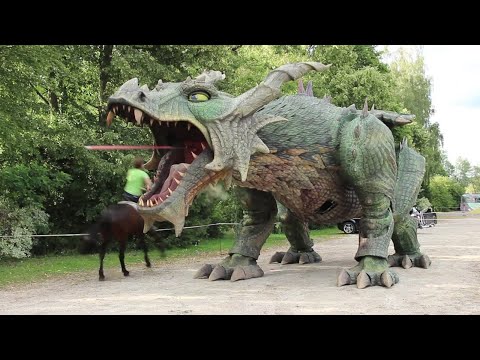 Stichprobe auf der Festwiese