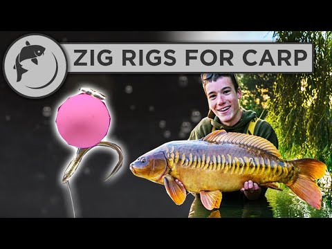 Fishing For Carp With Zig Rigs - How To Find The Depth And Tie A Zig