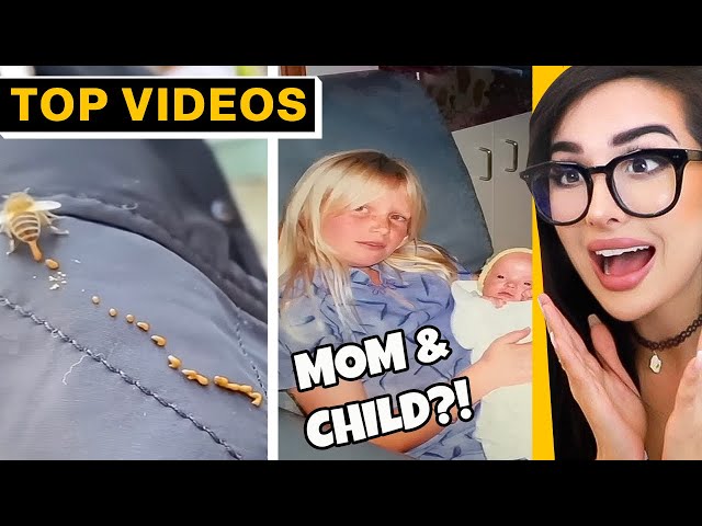 Unbelievable Plot Twists You Never Saw Coming! | SSSniperWolf SDDEFAULT Thumbnail