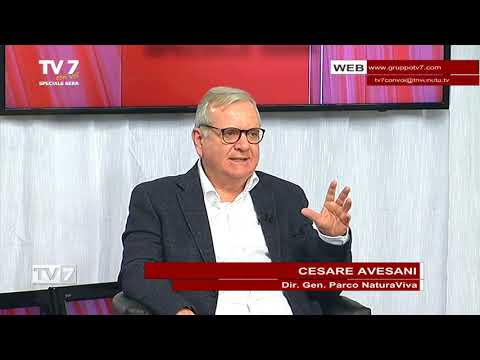 TV7 CON VOI SPECIALE SERA DEL 1/3/22 (3 DI 7) - Animali speciali