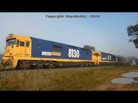 7738V - 8130-8178 (Grain) Murgheboluc - Australian Trains by RaySha1811