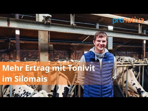 FarmersFriday: Mehr Ertrag mit Tonivit im Silomais