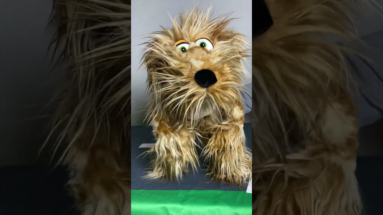 YouTube Shorts Video anklicken zum Abspielen