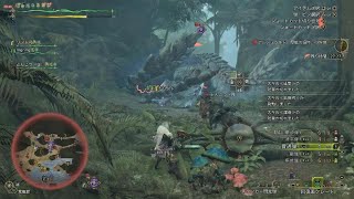 Monster Hunter Wilds_初心者ヘビィなのでマルチで