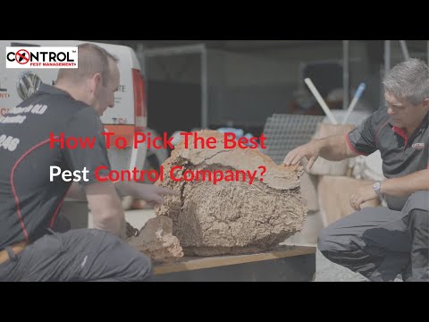 What Makes A Good Pest Controller | How To Pick A Good Pest Control Company Gold Coast Queensland