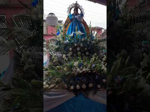 sagrada imagen de la virgen del rosario de ayarza Casillas santa Rosa