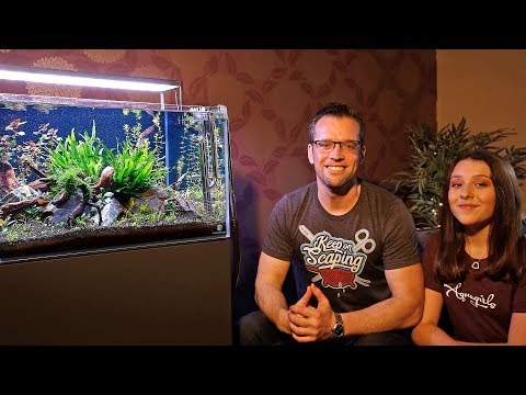 10 Pro Planted Tank Tips in 10 Minutes