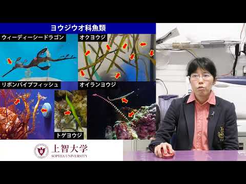 理工学部　物質生命理工学科　体験授業