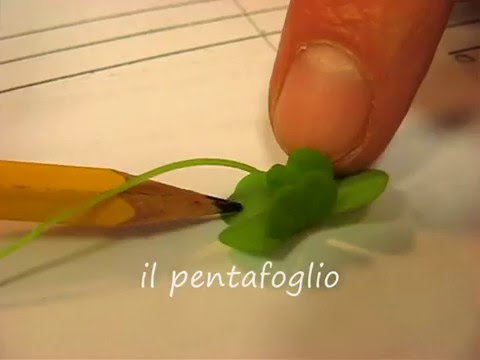 il pentafoglio - porta una sfortuna tremenda !!!