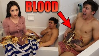 CRABS VS HUMAN (GONE WRONG)