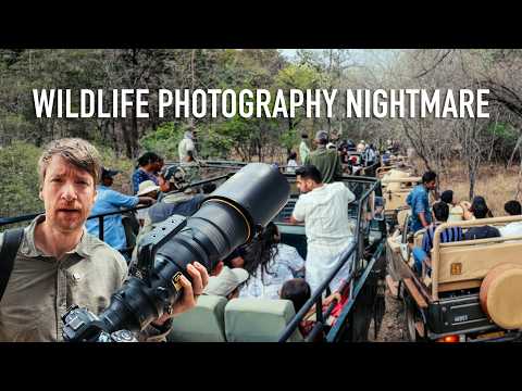I Did Wildlife Photography in India