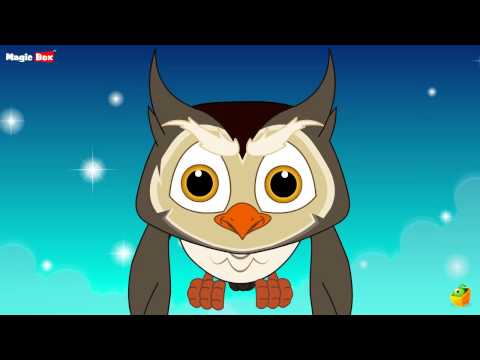 Big Eyed Owl - English Nursery Rhymes - Cartoon/Animated Rhymes For Kids