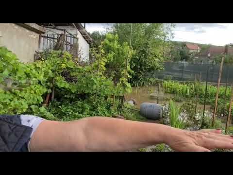 Inundatii Hapria 2020, interviu cu o localnicain gradina