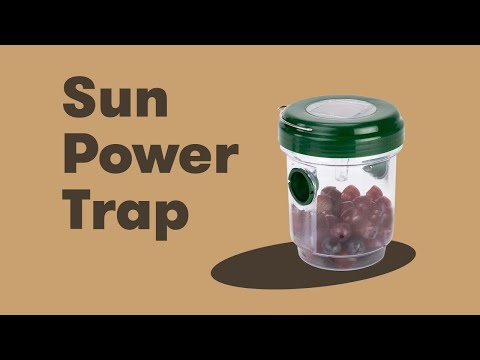 1x oder 2x Solar-Insektenfalle für Stechmücken und Wespen - Second Medium