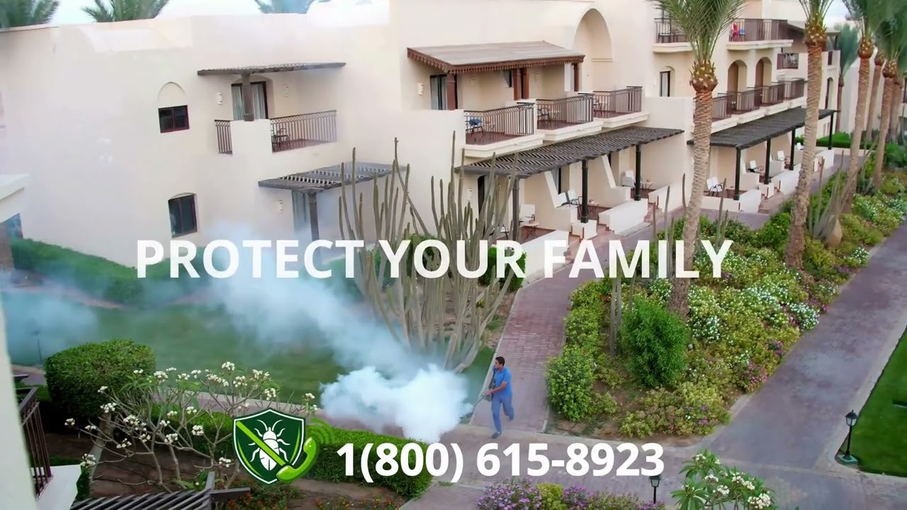 Top 3 Exterminators in Billings