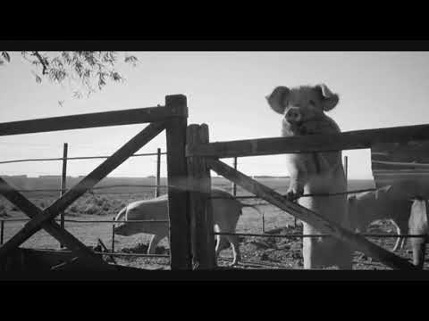 Lobisomem esperto . musica de Pedro Ortaça.