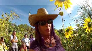 Come join us for our 2nd Anniversary Open House Virtual Tour Pt 1