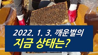2022, 01, 03. 깨운벌의 지금 상태는?