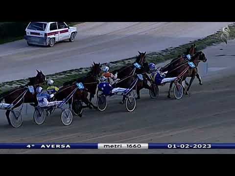 Aversa trotto 1 Febbraio 2023 - 4° Corsa