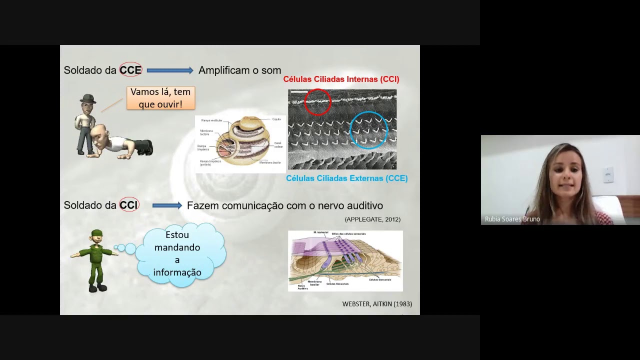 Emissões Otoacústicas - Parte 1
