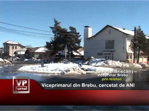 Viceprimarul din Brebu, cercetat de ANI