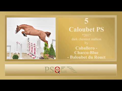5 Caloubet PS