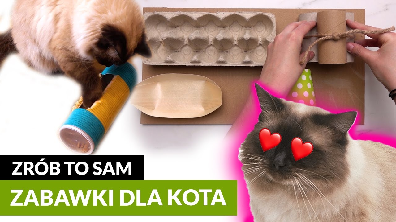 4 ZABAWKI DLA KOTA DIY 😻