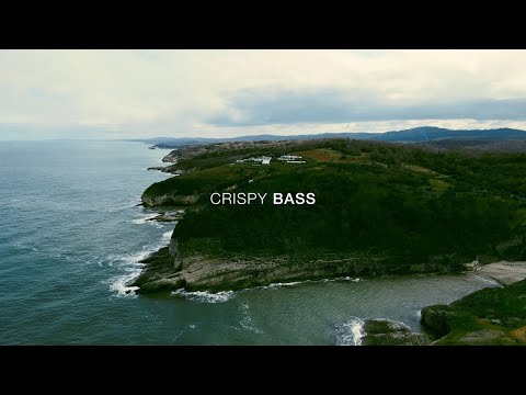 SHEBI Presents CRISPY BASS Vol. 01 (Swedish House Mafia / Vintage Culture / John Summit / Kream)