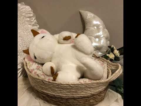 美術学科 すやすやドラゴン