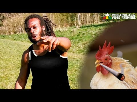 Hi Grade Hi-Fi feat. Jugganaut - Ses [Official Video 2020]