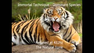 Immortal Technique - Dominant Species 432 hz
