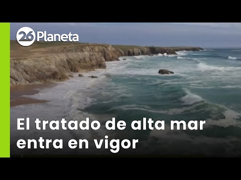 🌊 AVANZA EL TRATADO DE ALTA MAR | Entra en vigor para proteger aguas internacionales | #26Planeta