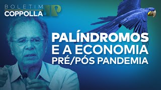 Palíndromos, Paulo Guedes e a Economia da Pandemia