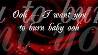 BURN By: Tina Arena