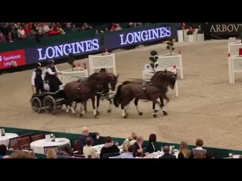 Partner Pferd 2015 Video 1