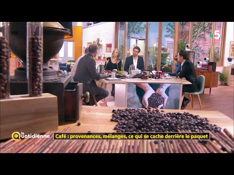 Café : provenances, mélanges, ce qui se cache derrière le paquet ! - La Quotidienne