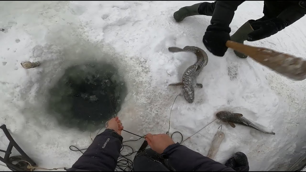 Отчёт с рыбалки 11.01.2021 #57 Туруханский район