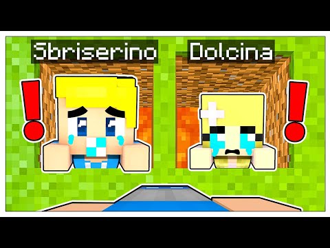 CHI SALVI TRA SBRISERINO E DOLCINA?! - Minecraft ITA