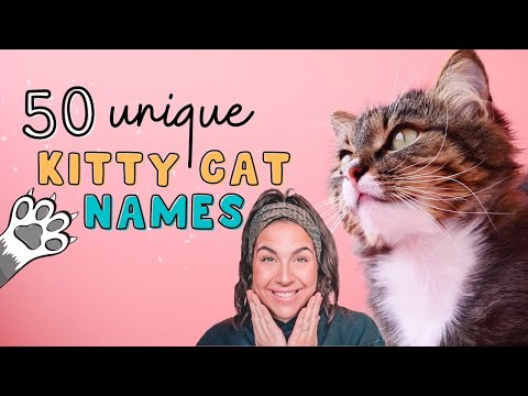 50 BEST UNIQUE CAT NAMES! (Girl & Boy) | Viewers Kitten/Cat Name Ideas For Male & Female! 🐱