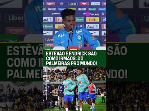A SELEVERDÃO NA SELEÇÃO BRASILEIRA! 🐷🇧🇷 #shorts