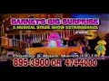 Barney S Big Surprise LIVE RARE Commercial