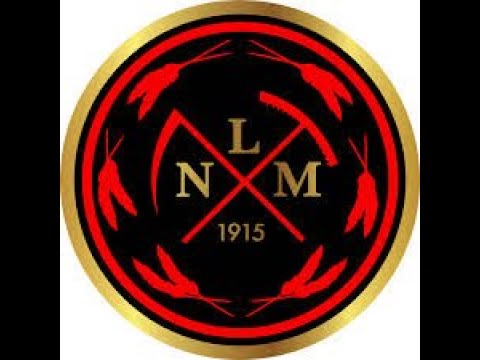 17.1.2026 Aluesarja - Wild Duckz - LNM P11