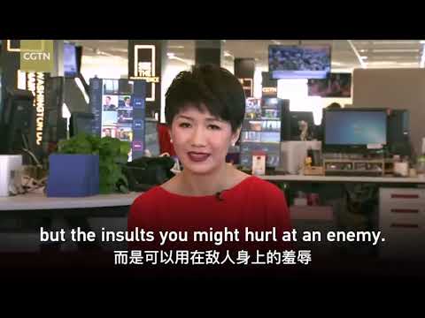 China CGTN LIU XIN debates with America Fox News Trish Regan