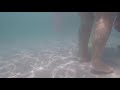 Exploring The Underwater Of The Kids Pool