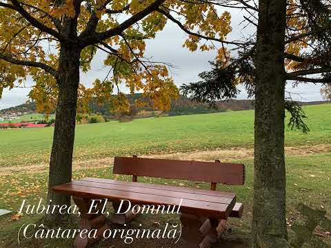 Daniel Hîrtie - Iubirea, El, Domnul (original)